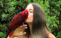 Women kissing a parrot